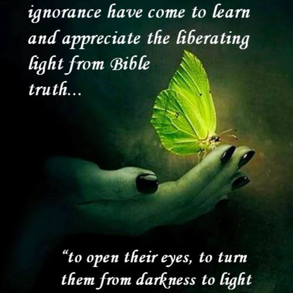 Meet your Posher, Maimai